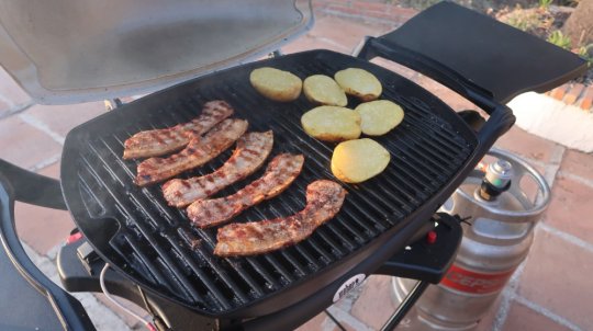 Weber gas grill gør bare ferien en tand bedre.