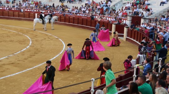 Tyrefægtning foregår i Plaza del Toro i Malaga.