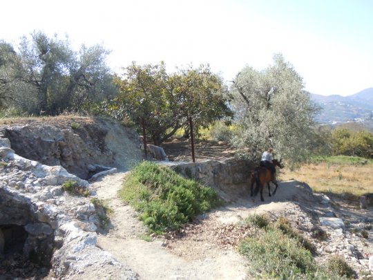 Tur p hest mellem Competa og Canillas de Albaida.